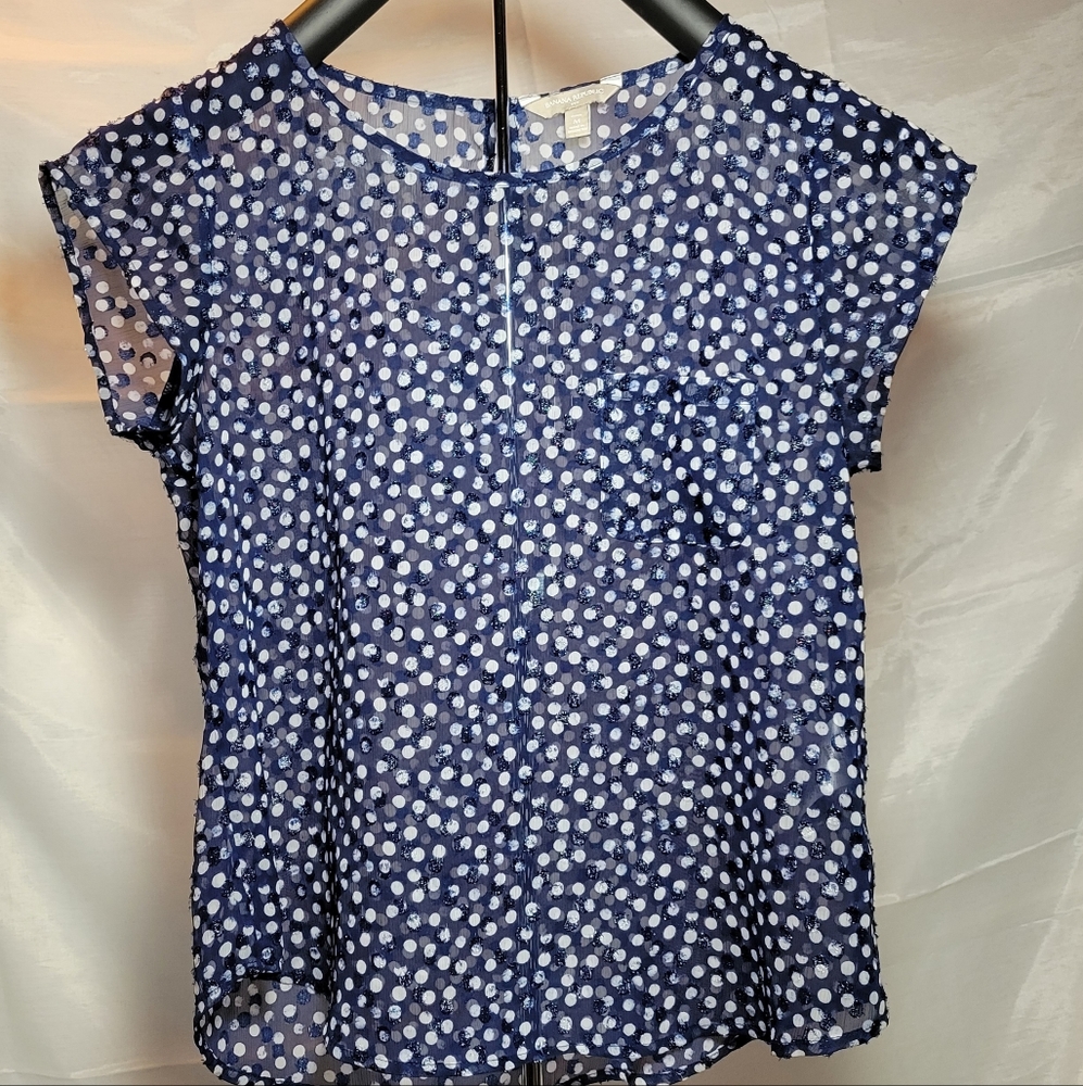 #1012 Banana Republic sheer sparkly shirt.
